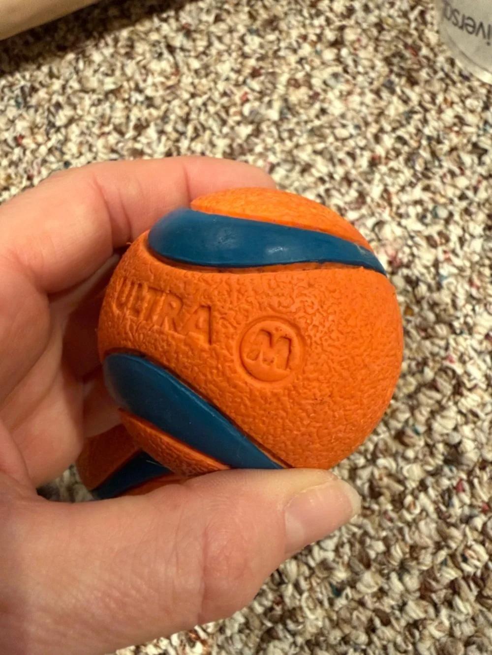 Chuckit! Orange and Blue Dog Balls Size Medium